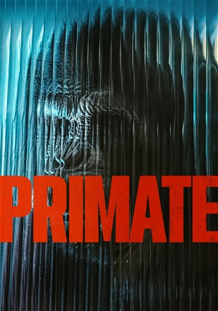 Primate